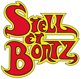 logo-stell-et-bontz-entreprise-bâtiment-tce