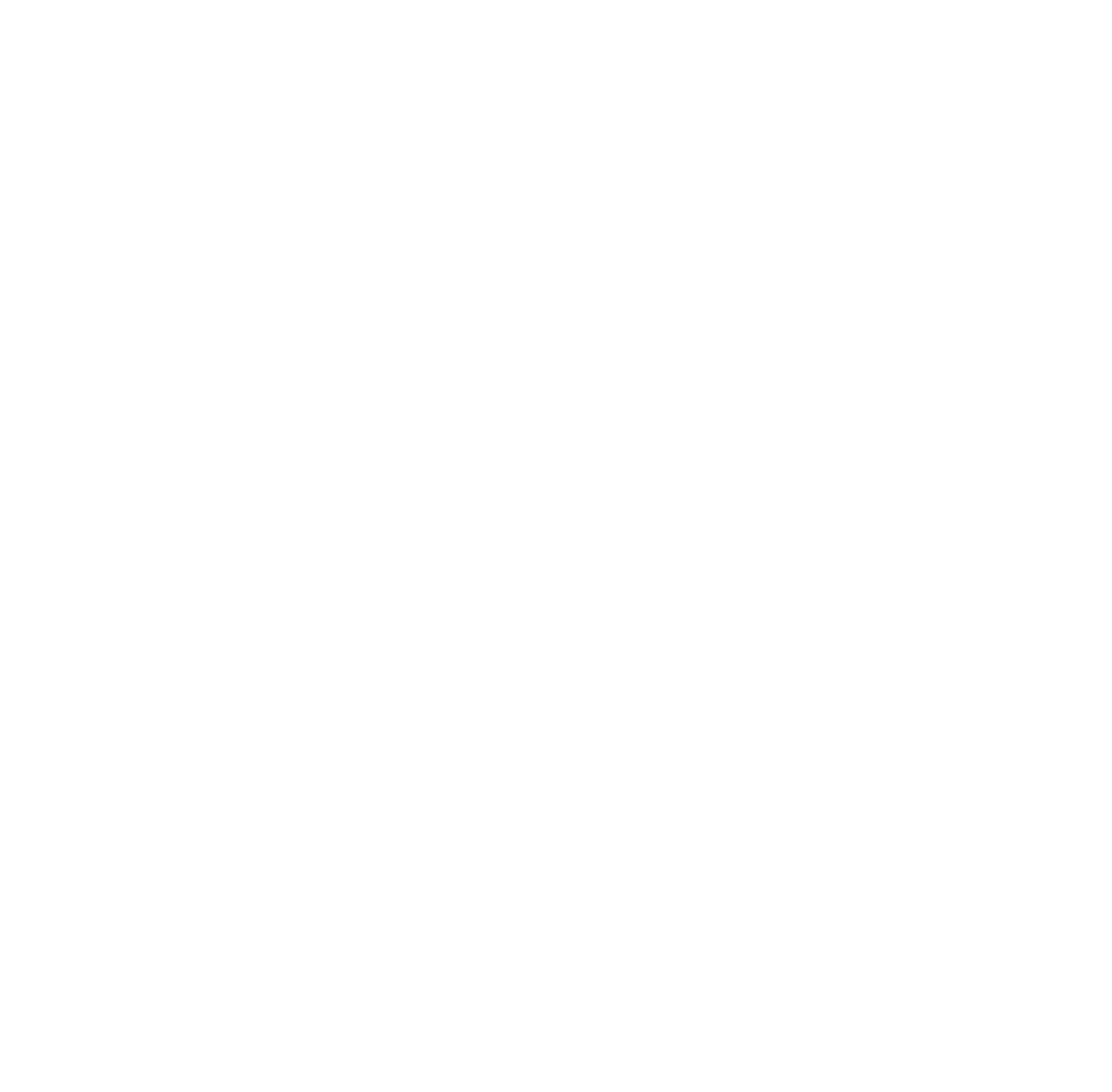 logo-stell-et-bontz-entreprise-bâtiment-blanc